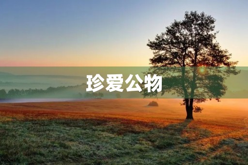 珍爱公物,共建美好家园 珍爱公物,共建美好家园