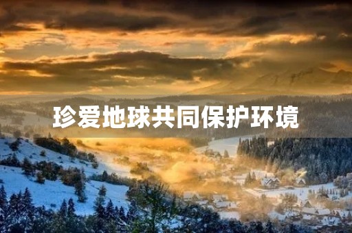 珍爱地球共同保护环境