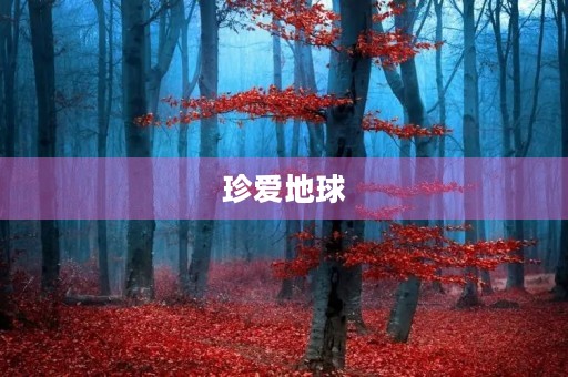 珍爱地球，从我做起——读《只有一个地球》有感