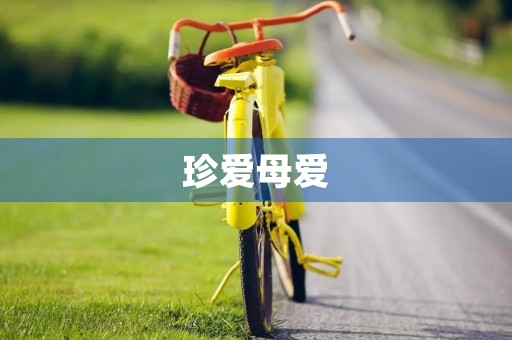 珍爱母爱,感恩母亲节 珍爱母爱,感恩母亲节