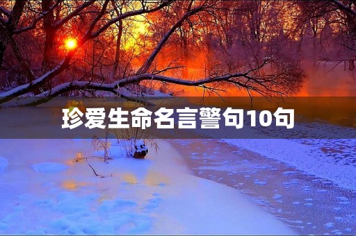 珍爱生命名言警句10句，珍爱生命名言警句10句简短