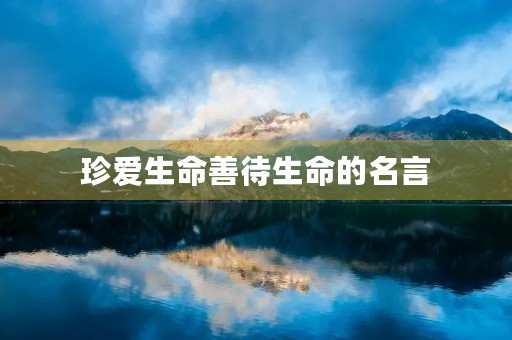 珍爱生命善待生命的名言(珍爱生命善待生命的名言名句有哪些)