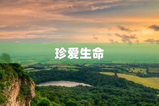 珍爱生命,从小事做起 珍爱生命,从小事做起