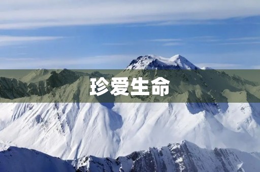 珍爱生命,从我做起 珍爱生命,从我做起