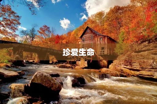 珍爱生命，平等女权——纪念三八妇女节