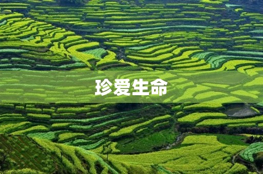 珍爱生命,远离毒品 珍爱生命,远离毒品