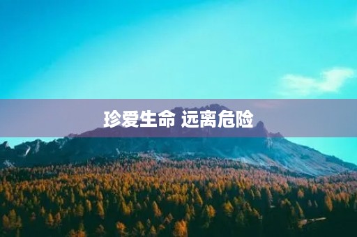 珍爱生命 远离危险 珍爱生命 远离危险