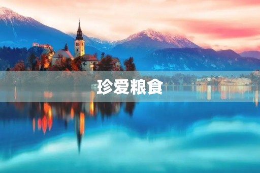珍爱粮食，从我做起