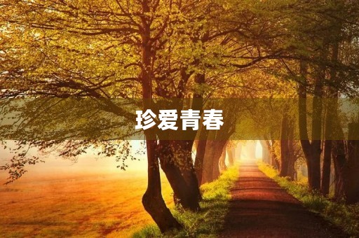 珍爱青春,留下初三的回忆 珍爱青春,留下初三的回忆