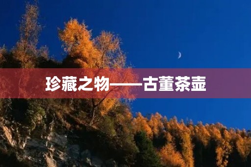 珍藏之物——古董茶壶 珍藏之物——古董茶壶