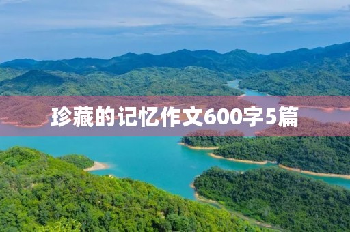 珍藏的记忆作文600字5篇 珍藏的记忆作文600字5篇
