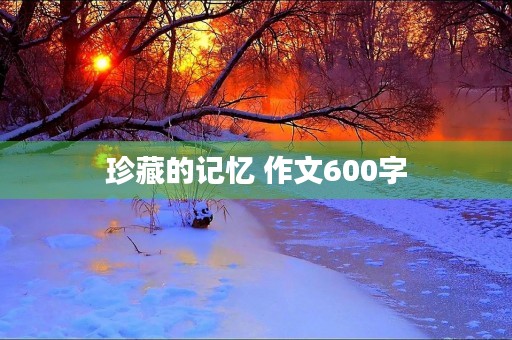 珍藏的记忆 作文600字