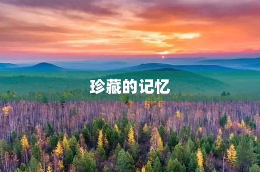 珍藏的记忆 珍藏的记忆