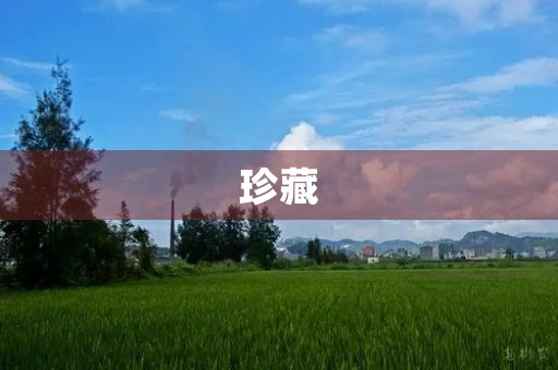 珍藏，我的最爱