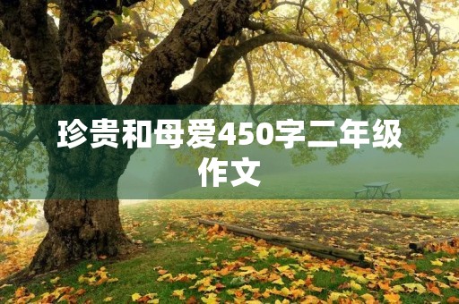 珍贵和母爱450字二年级作文