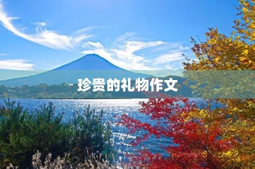 珍贵的礼物作文 珍贵的礼物作文