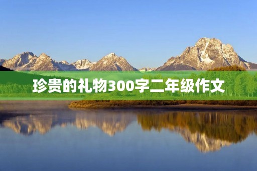 珍贵的礼物300字二年级作文