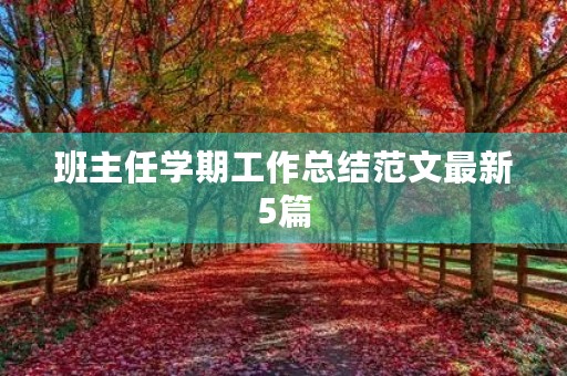 班主任学期工作总结范文最新5篇