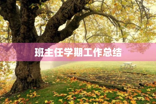 班主任学期工作总结 班主任学期工作总结