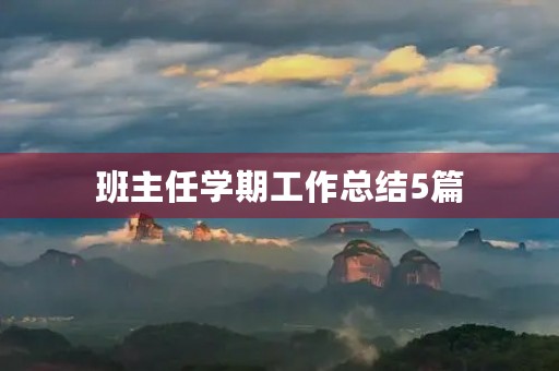 班主任学期工作总结5篇