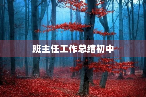 班主任工作总结初中