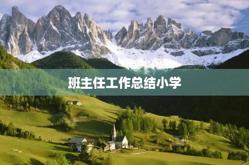 班主任工作总结小学