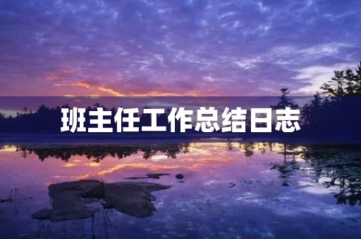 班主任工作总结日志