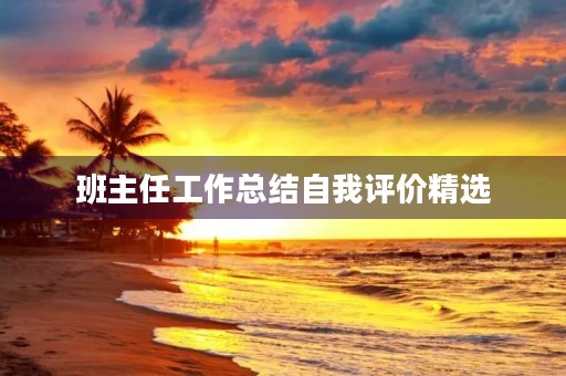 班主任工作总结自我评价精选