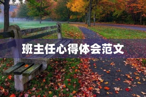 班主任心得体会范文