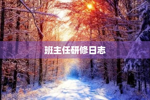 班主任研修日志 班主任研修日志