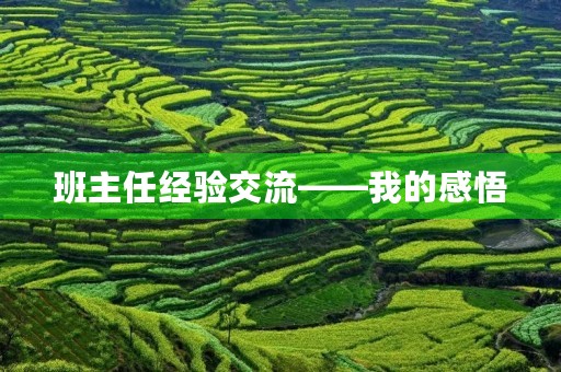 班主任经验交流——我的感悟 班主任经验交流——我的感悟