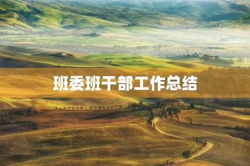 班委班干部工作总结
