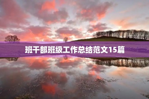 班干部班级工作总结范文15篇
