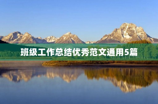 班级工作总结优秀范文通用5篇