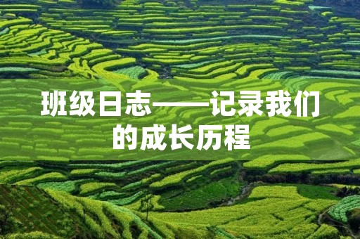 班级日志——记录我们的成长历程