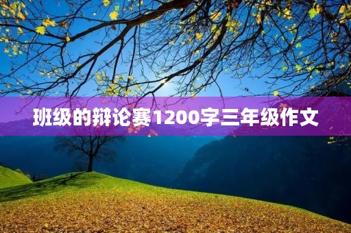 班级的辩论赛1200字三年级作文 班级的辩论赛1200字三年级作文
