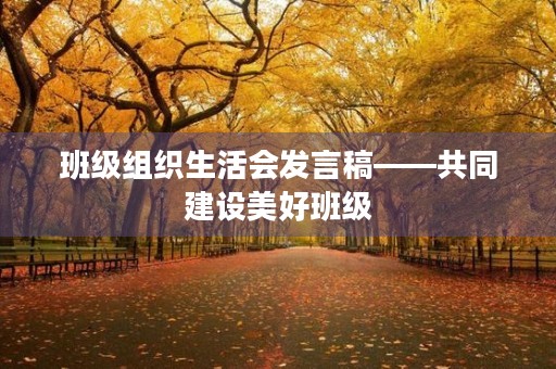 班级组织生活会发言稿——共同建设美好班级