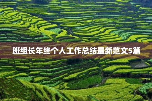 班组长年终个人工作总结最新范文5篇