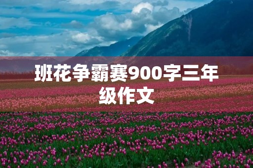 班花争霸赛900字三年级作文 班花争霸赛900字三年级作文