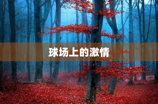 球场上的** 球场上的**