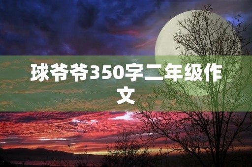 球爷爷350字二年级作文