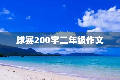 球赛200字二年级作文