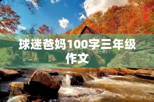 球迷爸妈100字三年级作文 球迷爸妈100字三年级作文