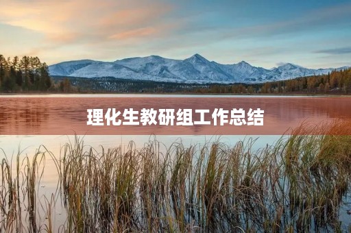 理化生教研组工作总结
