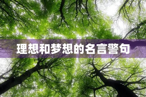 理想和梦想的名言警句(理想和梦想的名言警句摘抄大全)
