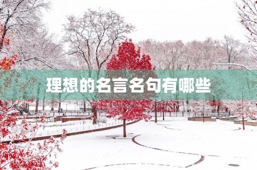 理想的名言名句有哪些(理想的名言名句有哪些三年级) 理想的名言名句有哪些(理想的名言名句有哪些三年级)