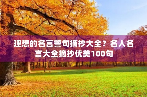 理想的名言警句摘抄大全？名人名言大全摘抄优美100句