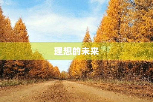 理想的未来 理想的未来