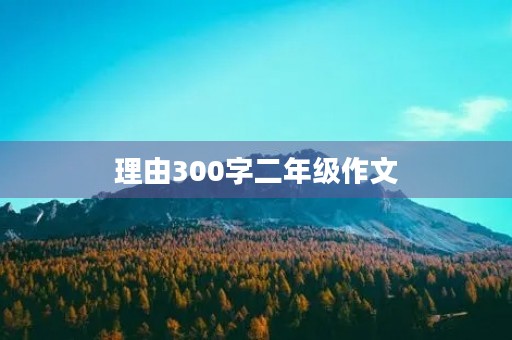 理由300字二年级作文