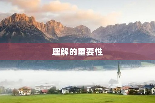 理解的重要性